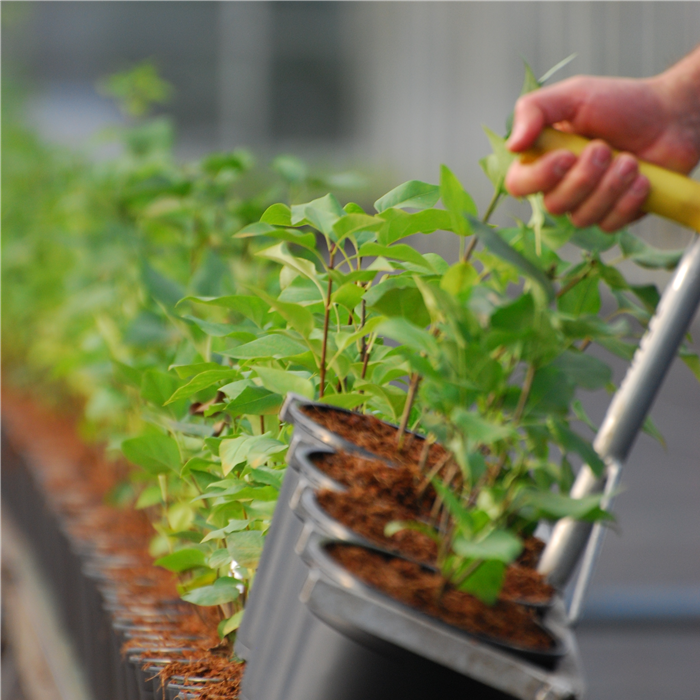 Freie Stellen Freie Stellen