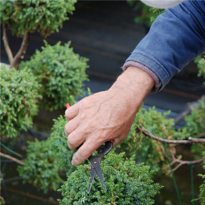 Wir bilden aus Wir bilden aus