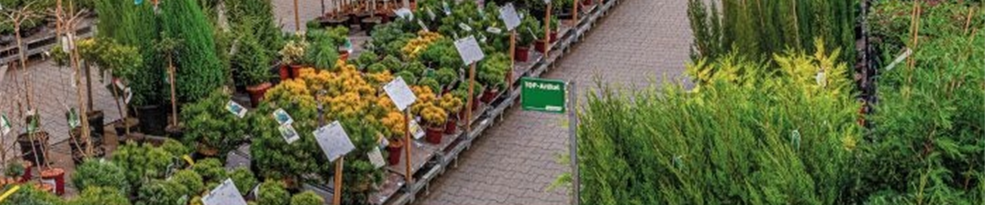 2023-05-23, HOT_700-0-0-700-700.jpg 2023-05-23, HOT_700-0-0-700-700.jpg