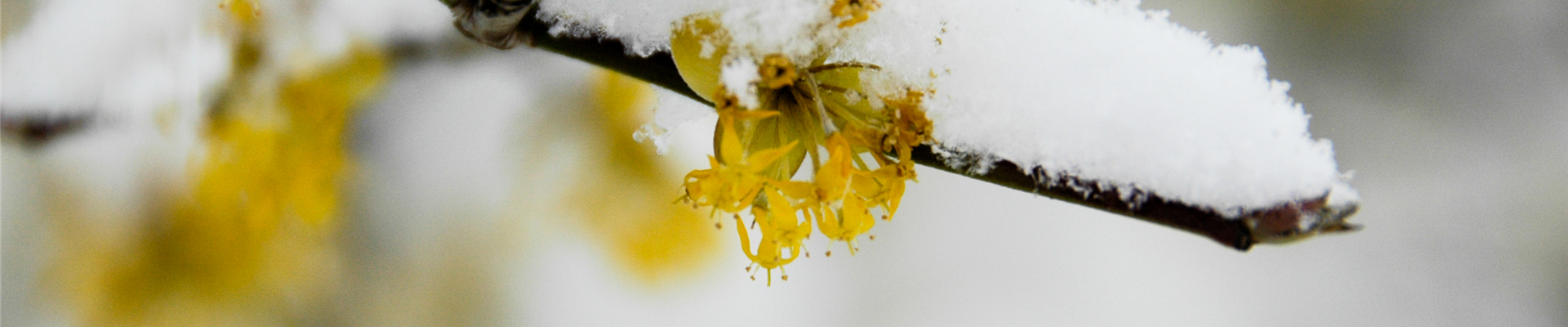 GS635851.jpg GS635851.jpg