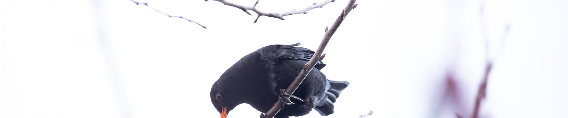 GS669488.jpg GS669488.jpg