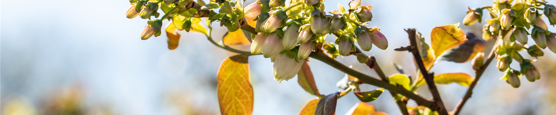 GS661121.jpg GS661121.jpg