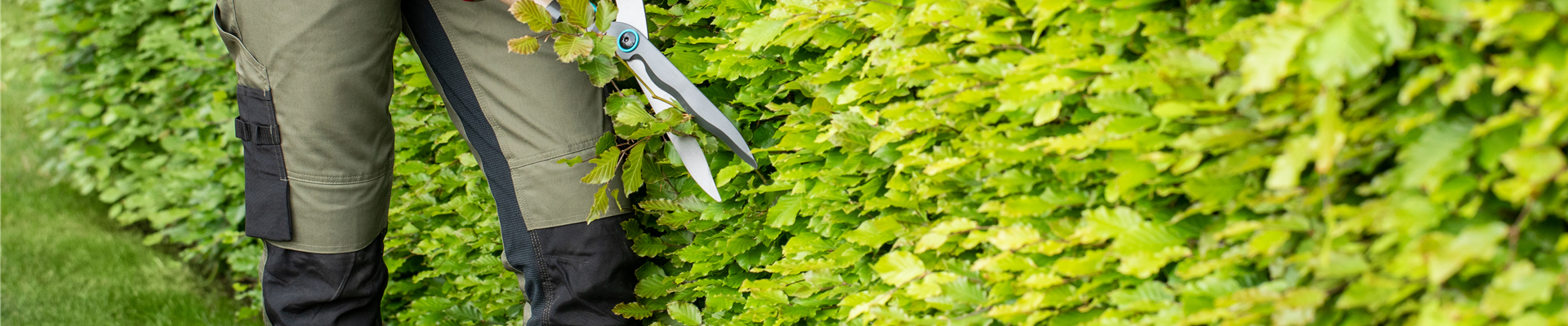 GS662808.jpg GS662808.jpg