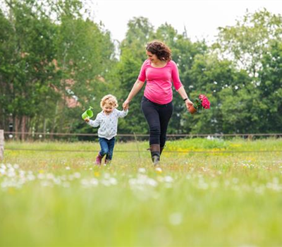 Ein Spielparadies für Kinder im eigenen Garten Ein Spielparadies für Kinder im eigenen Garten