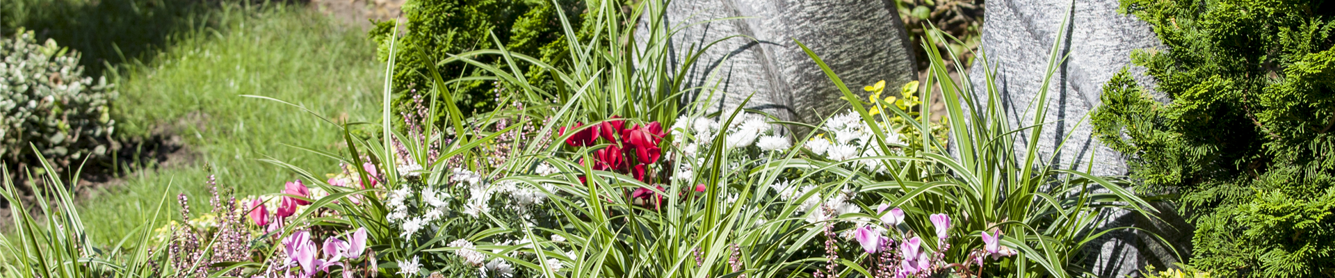 GS502947.jpg GS502947.jpg