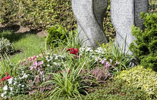 Im Mai bekommt das Grab seine Sommerbepflanzung Im Mai bekommt das Grab seine Sommerbepflanzung