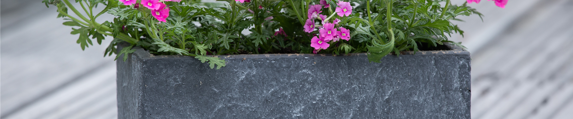 GS622898.jpg GS622898.jpg