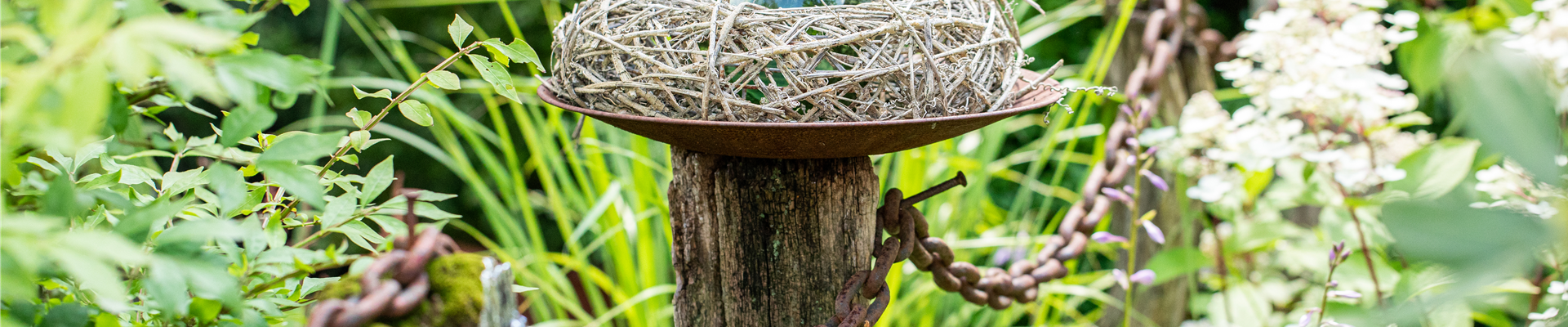 GS669222.jpg GS669222.jpg