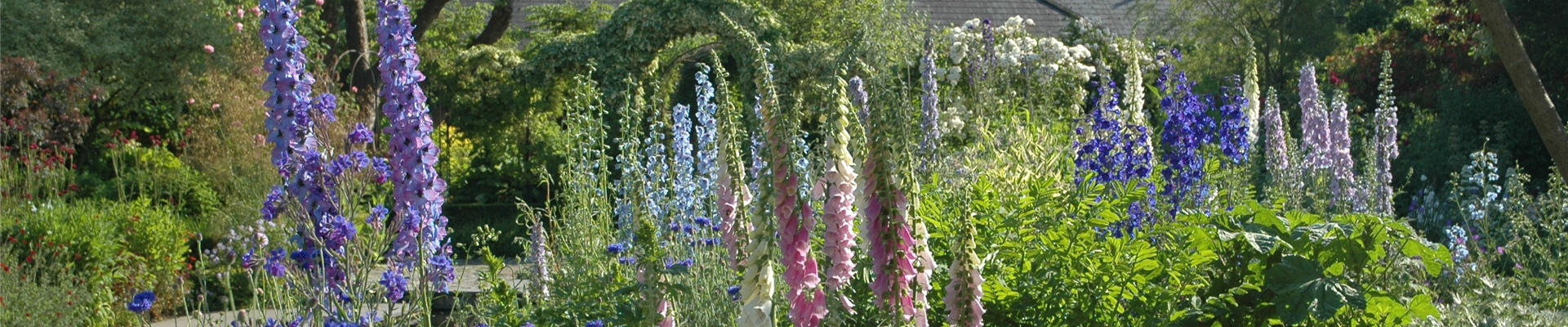 GS621730.jpg GS621730.jpg