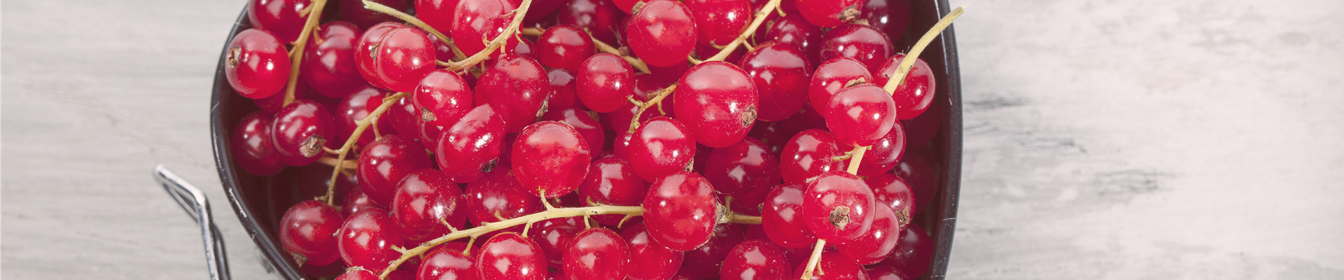 GS501726.jpg GS501726.jpg