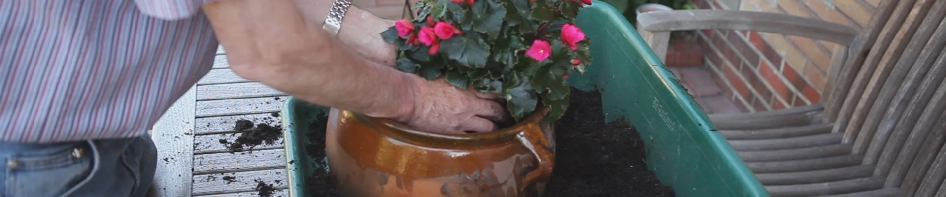 Blumenkübel - Bepflanzen mit mehreren Sommerblumen.jpg Blumenkübel - Bepflanzen mit mehreren Sommerblumen.jpg