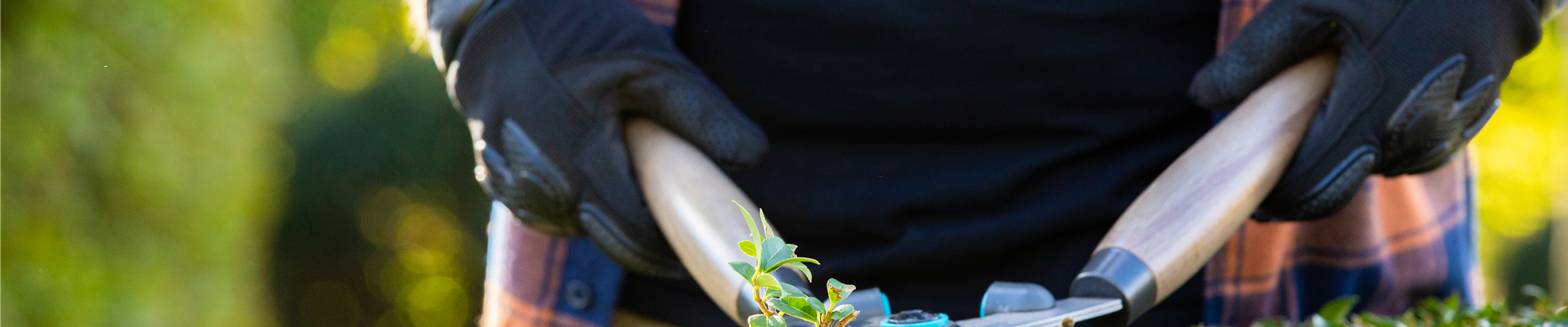 GS696412.jpg GS696412.jpg