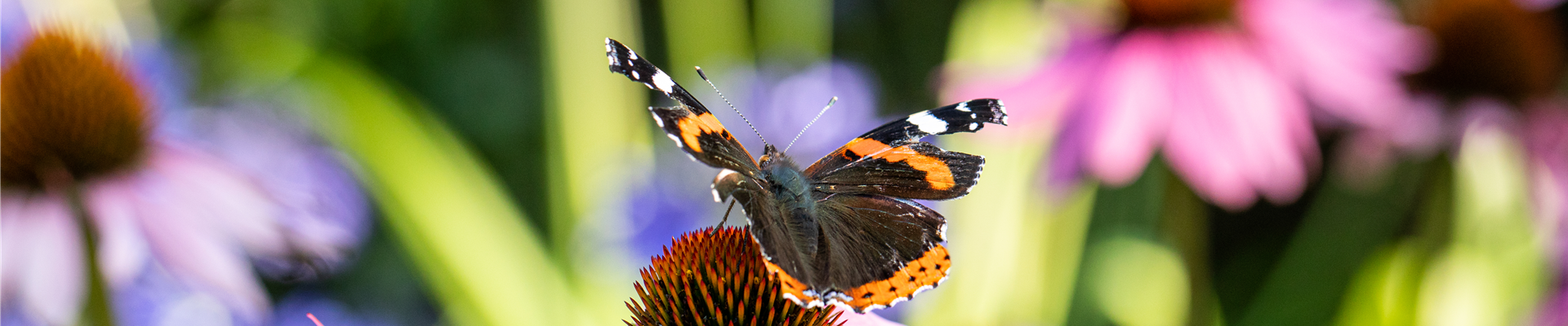 GS670687.jpg GS670687.jpg