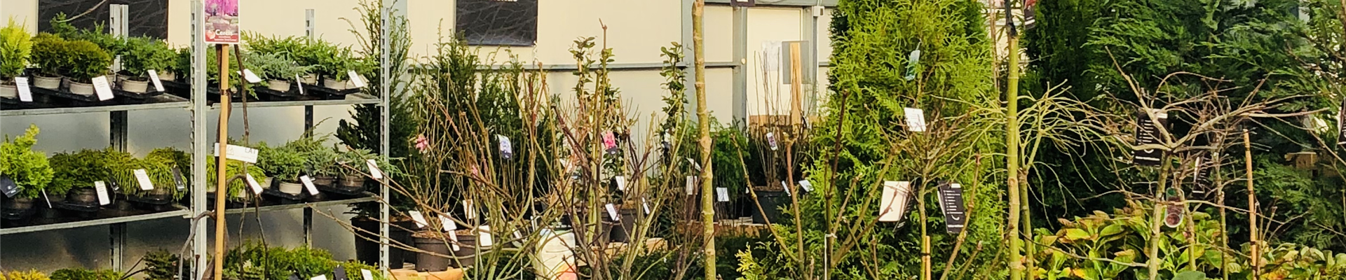 20221112_102346564_iOS-0-764-3024-3024.jpg 20221112_102346564_iOS-0-764-3024-3024.jpg