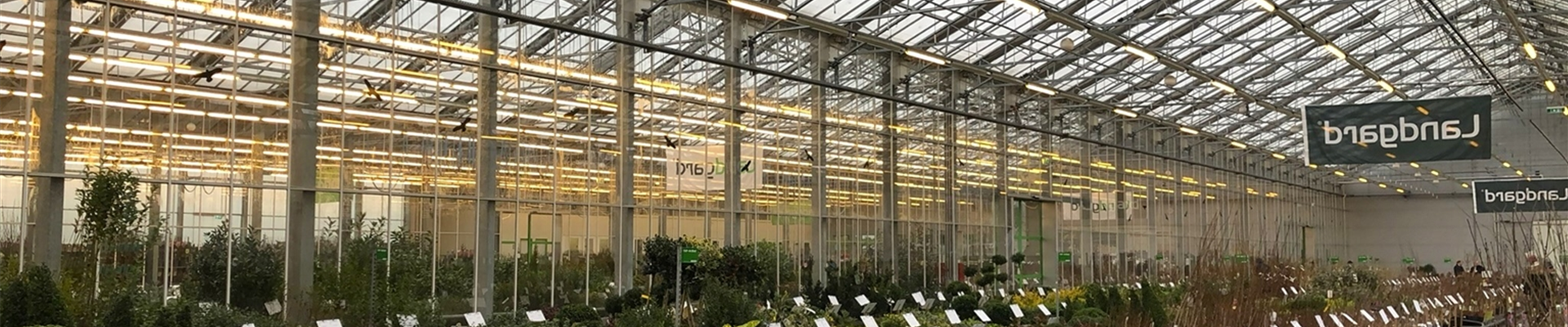 IMG_0101-0-0-2048-1536.jpeg IMG_0101-0-0-2048-1536.jpeg