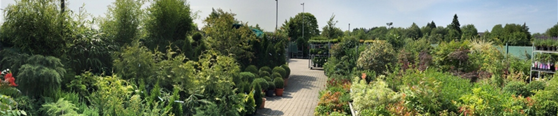 IMG_3231-1395-0-1566-881.JPG IMG_3231-1395-0-1566-881.JPG