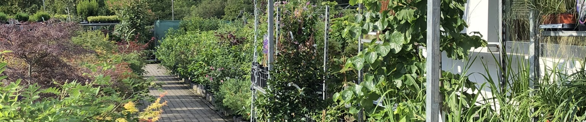 IMG_5730.jpeg IMG_5730.jpeg