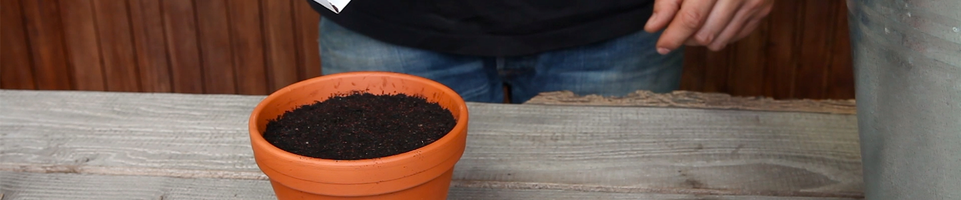 Oregano - Aussäen von Samen (thumbnail).jpg Oregano - Aussäen von Samen (thumbnail).jpg