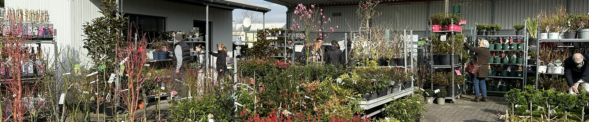 IMG_3212.JPEG IMG_3212.JPEG