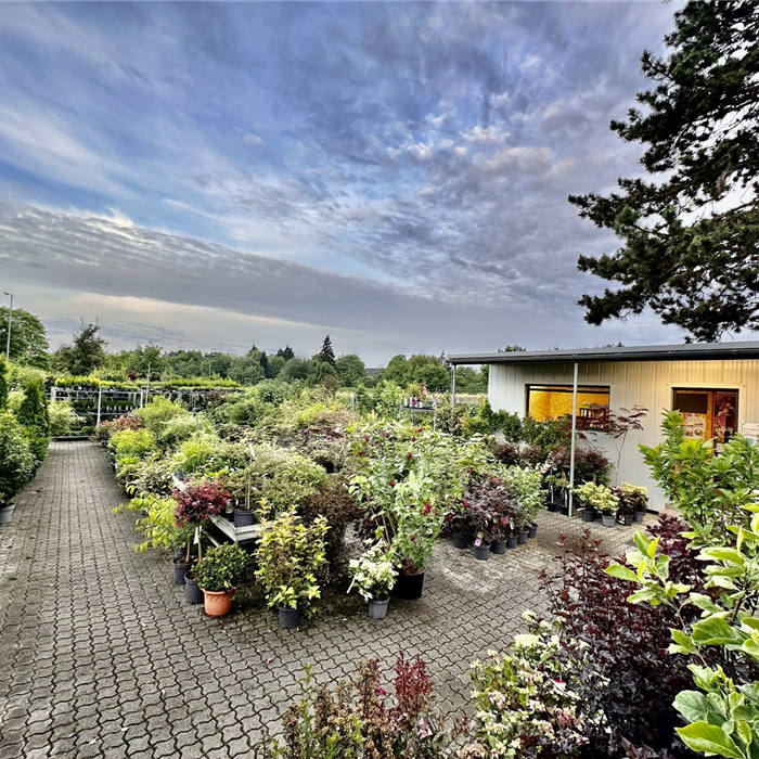 Wir sind wieder am bzg-FFM