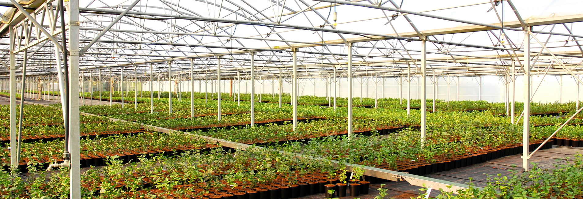 Moderne Produktion