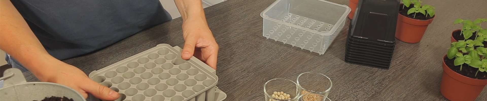 Tomaten - Aussäen von Samen (thumbnail).jpg Tomaten - Aussäen von Samen (thumbnail).jpg