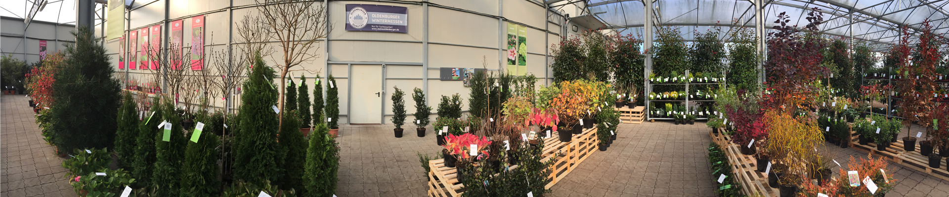 IMG_6866.JPG IMG_6866.JPG