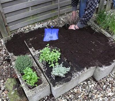 Kräuter - Einsetzen in Pflanzsteine Kräuter - Einsetzen in Pflanzsteine