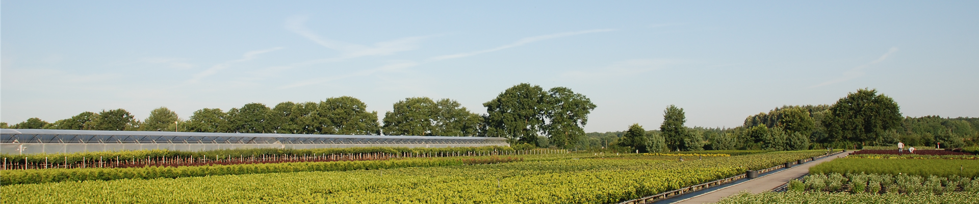 DSC_0048.JPG DSC_0048.JPG
