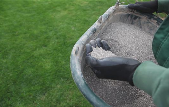 Rasen - Schnitt und Pflege Rasen - Schnitt und Pflege