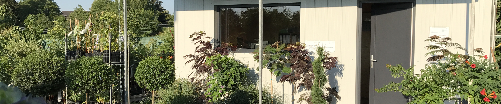 ffm_haus.jpg ffm_haus.jpg