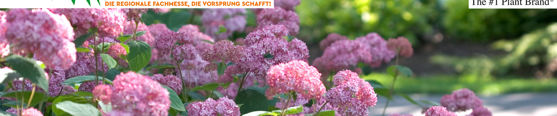 floratrend_pw_03_2019.jpg floratrend_pw_03_2019.jpg