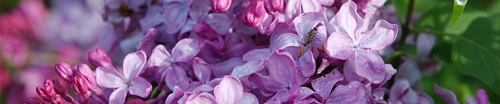 news_Esther-Staley.jpg news_Esther-Staley.jpg