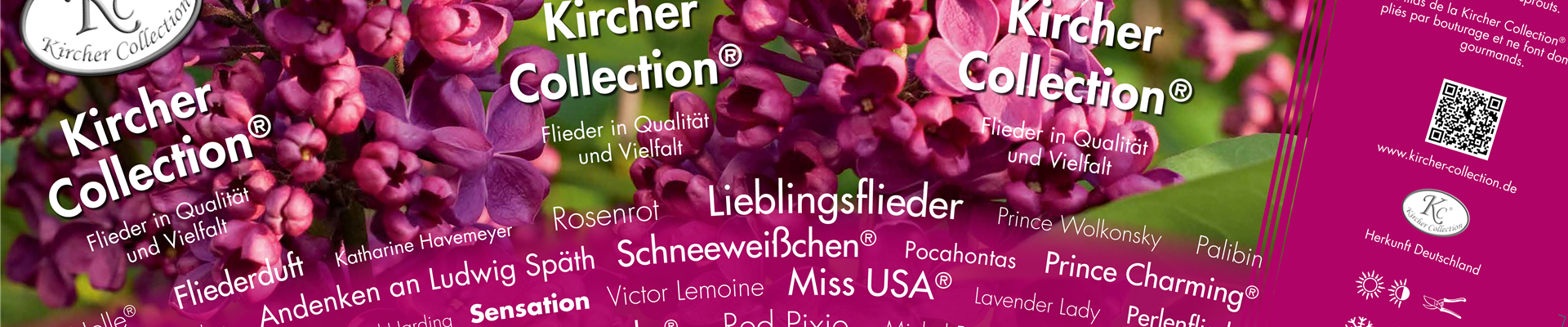 potcover_offen_ausschnitt.jpg potcover_offen_ausschnitt.jpg