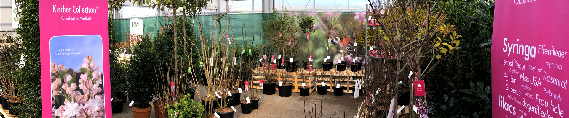 video_wm_19_20_start.jpg video_wm_19_20_start.jpg