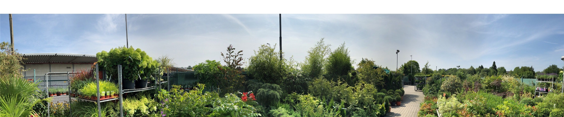 ffm_offen_2020.jpg ffm_offen_2020.jpg