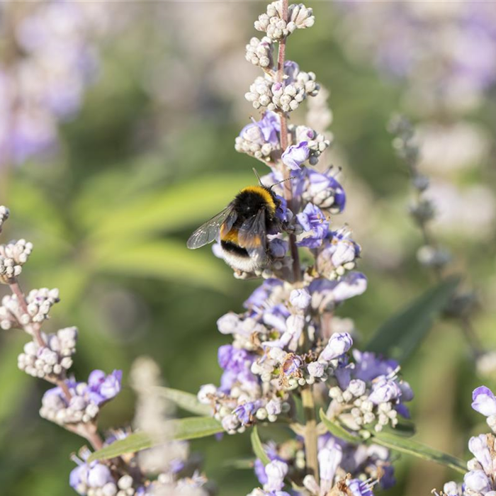 Nachhaltigkeit Nachhaltigkeit