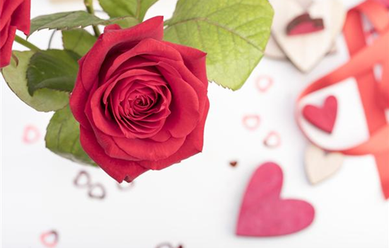 Der Valentinstag und seine Geschichte Der Valentinstag und seine Geschichte