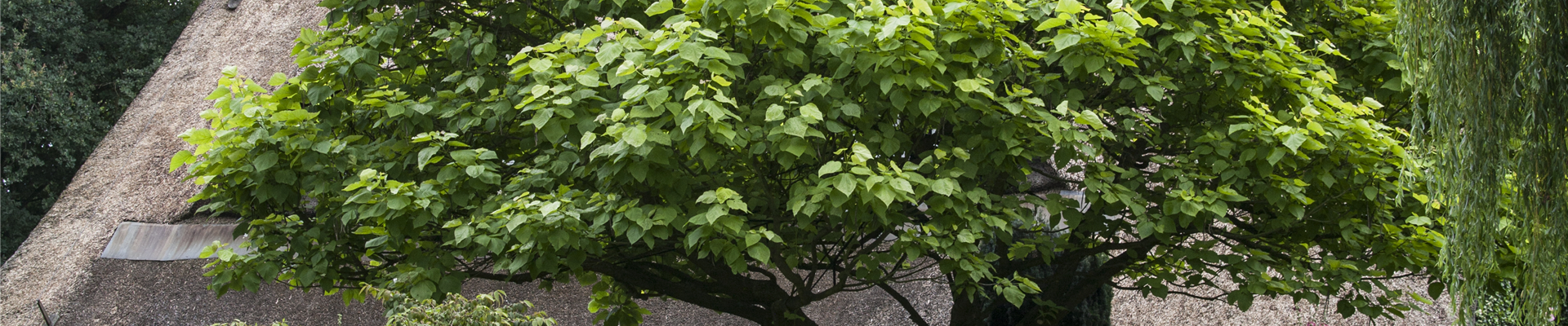 GS503752.jpg GS503752.jpg