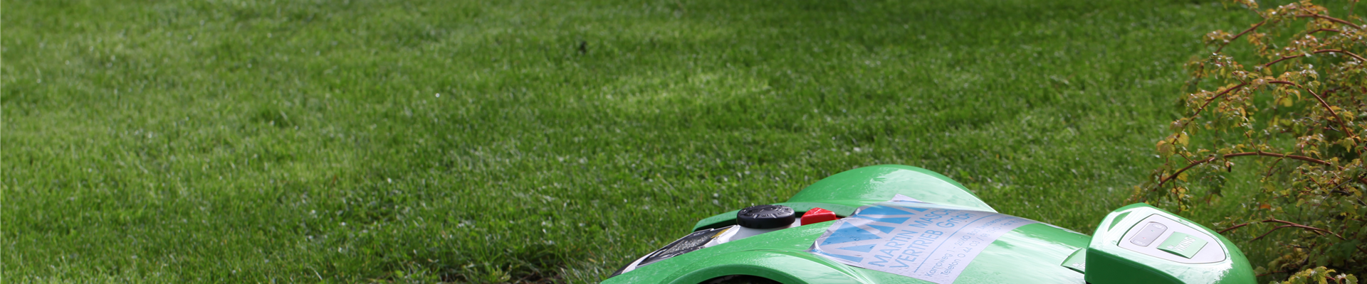 GS428484.jpg GS428484.jpg