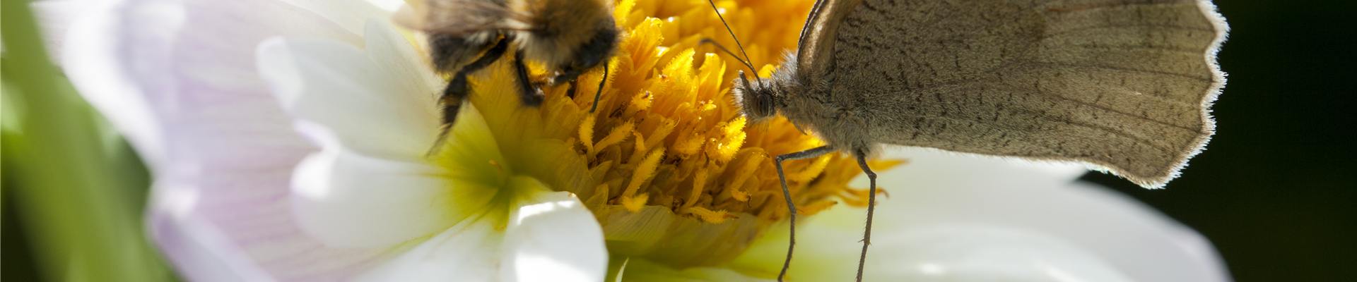 GS496916.jpg GS496916.jpg