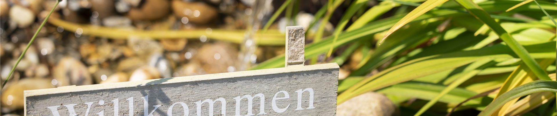 GS586178.jpg GS586178.jpg