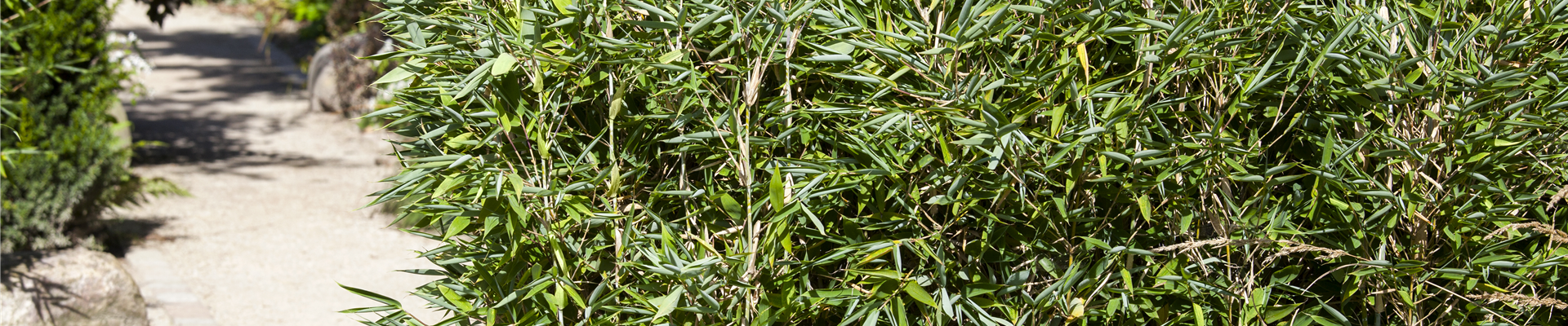 GS503607.jpg GS503607.jpg