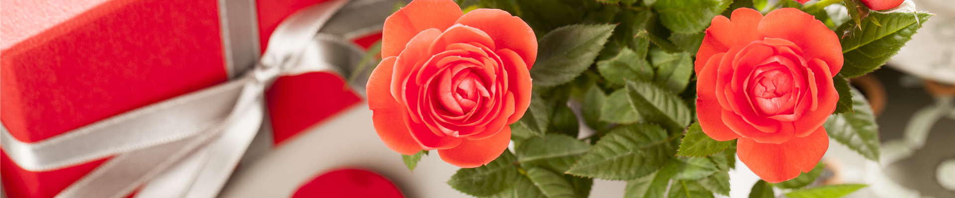 GS513566.jpg GS513566.jpg