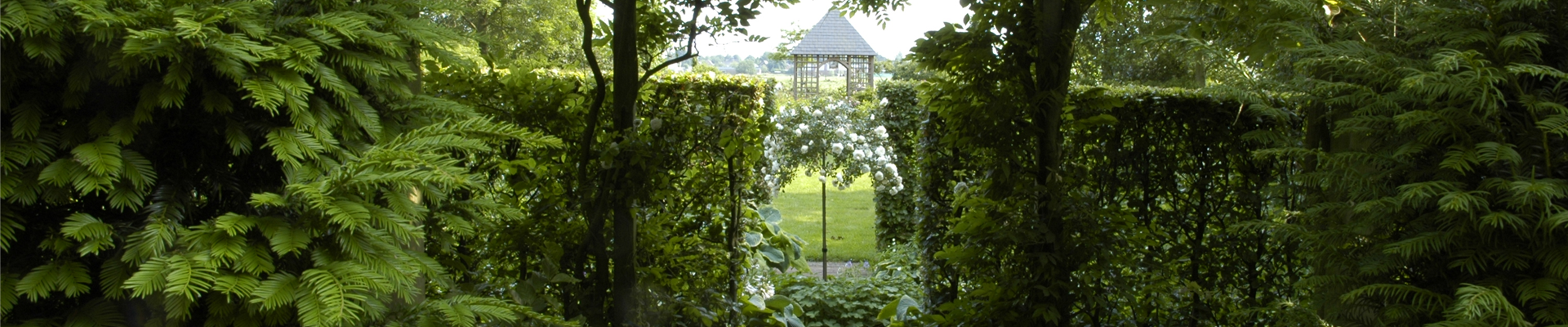 GS619959.jpg GS619959.jpg