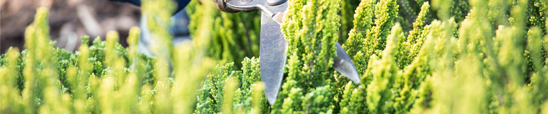 GS620121.jpg GS620121.jpg