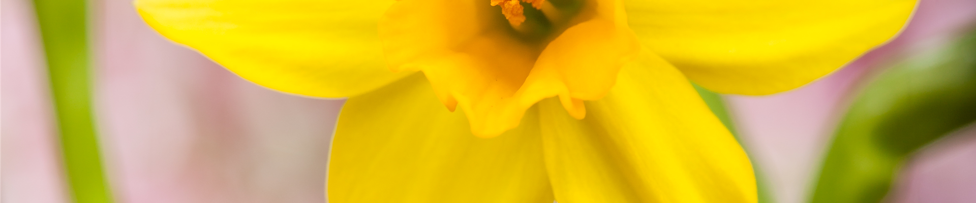 GS528177.jpg GS528177.jpg