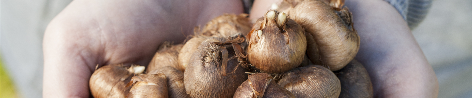 GS504662.jpg GS504662.jpg