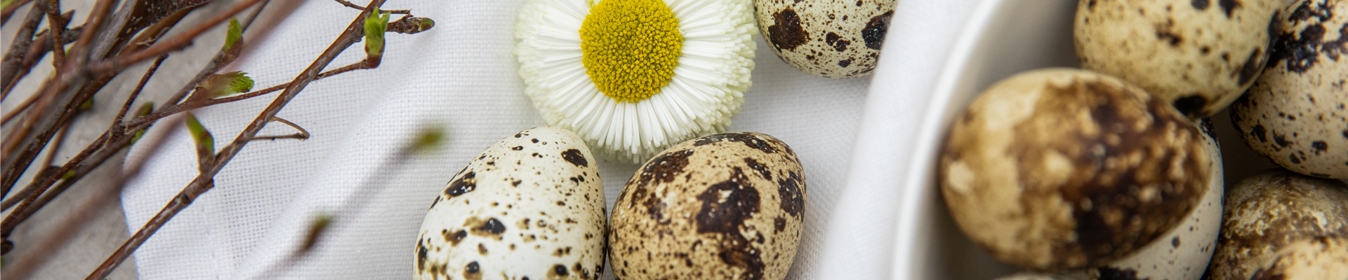 GS651190.jpg GS651190.jpg