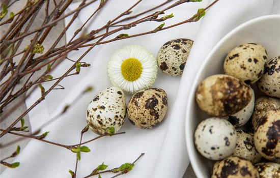 Palmsonntag: grüne Traditionen in der Kirche Palmsonntag: grüne Traditionen in der Kirche